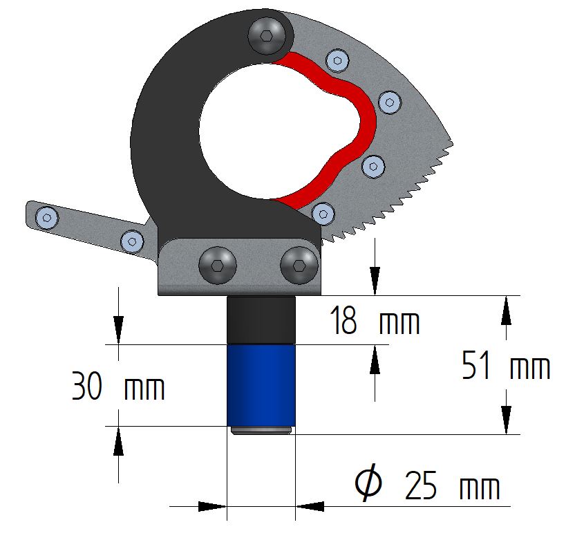 Quick release clamp: (tie down anchor)