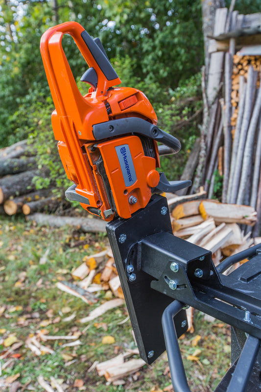 Chainsaw holder