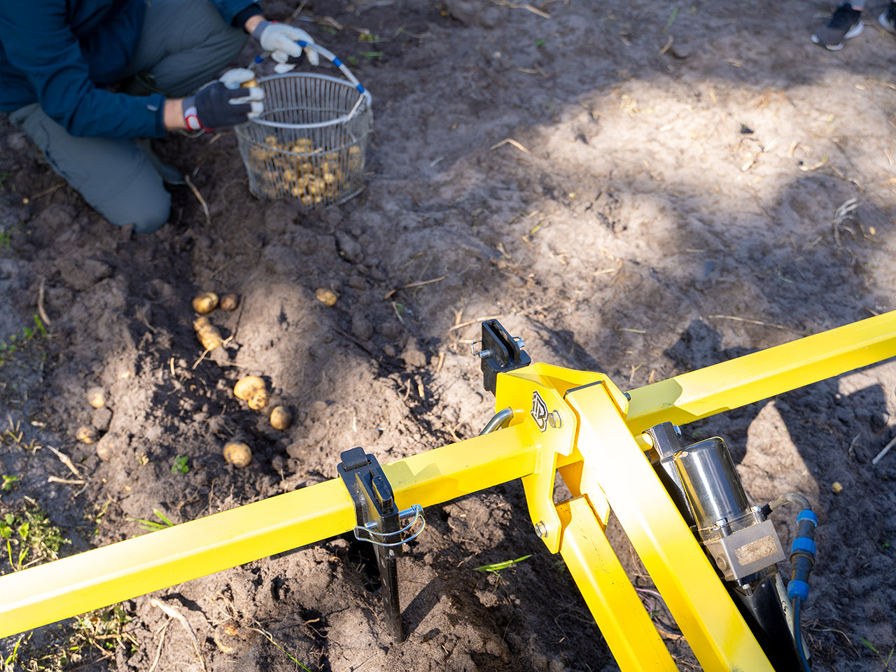 Potato harvester: Potato plow: (Receiver Mount System)